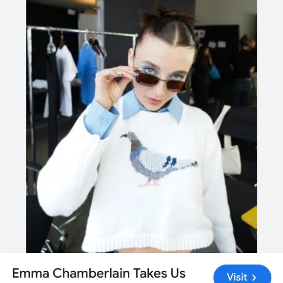 DISO JAMIE LERNER X EMMA CHAMBERLAIN X WARBY PARKER PIGEON SWEATER DO NOT BUY!!! - Picture 2 of 4